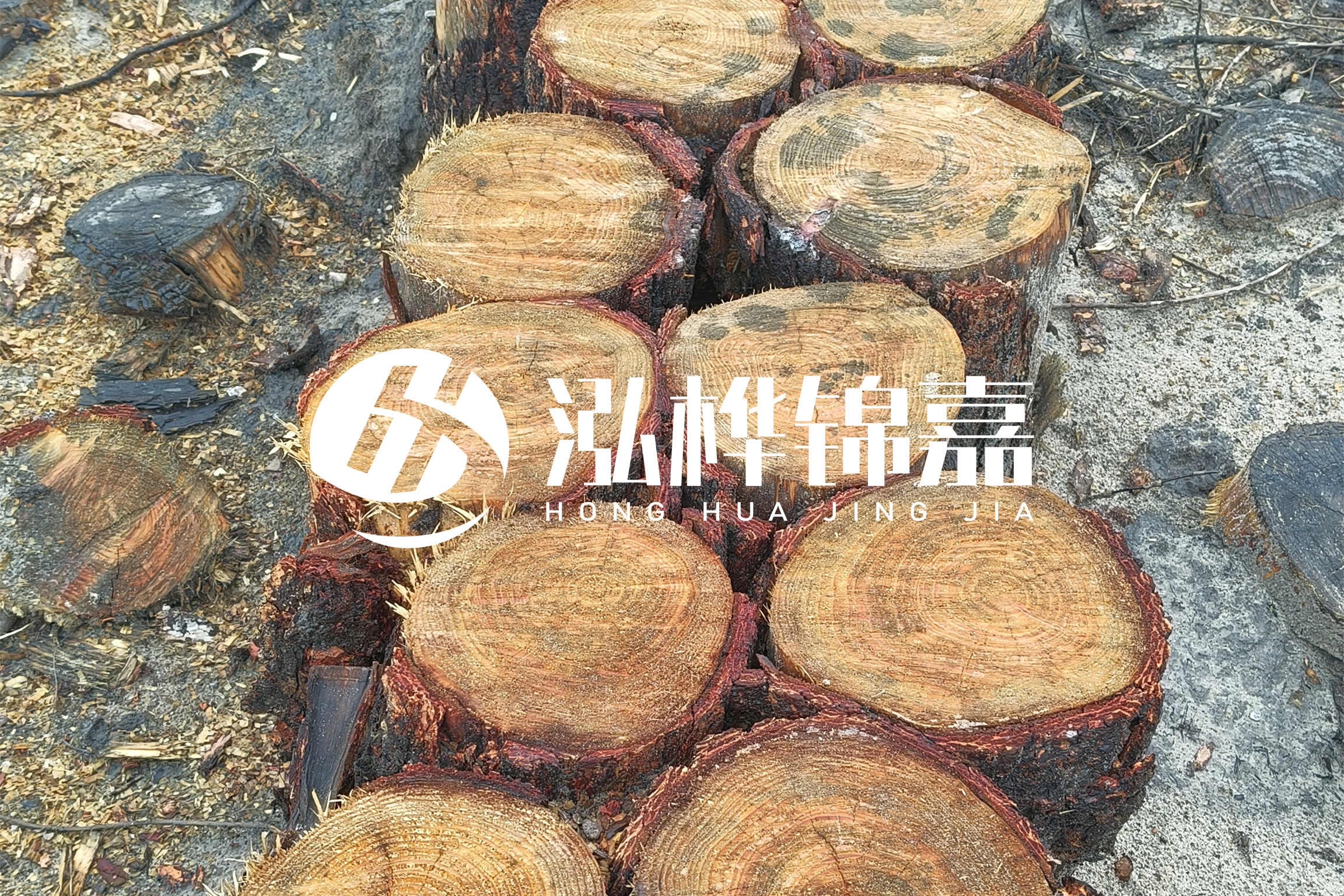 浙江臺州有清淤的公司嗎？浙江臺州有清淤施工隊(duì)嗎？