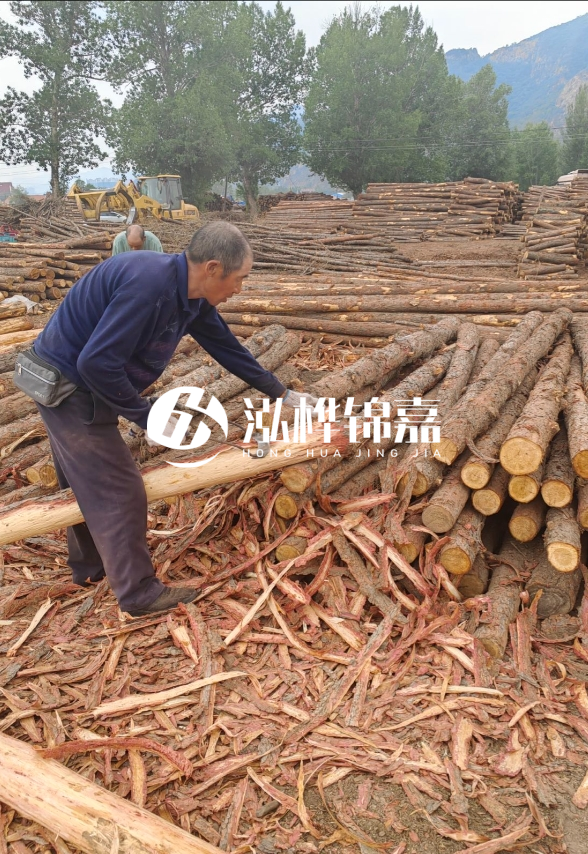 東營河道清淤專業(yè)施工隊-不同型號挖機清淤能力對比？