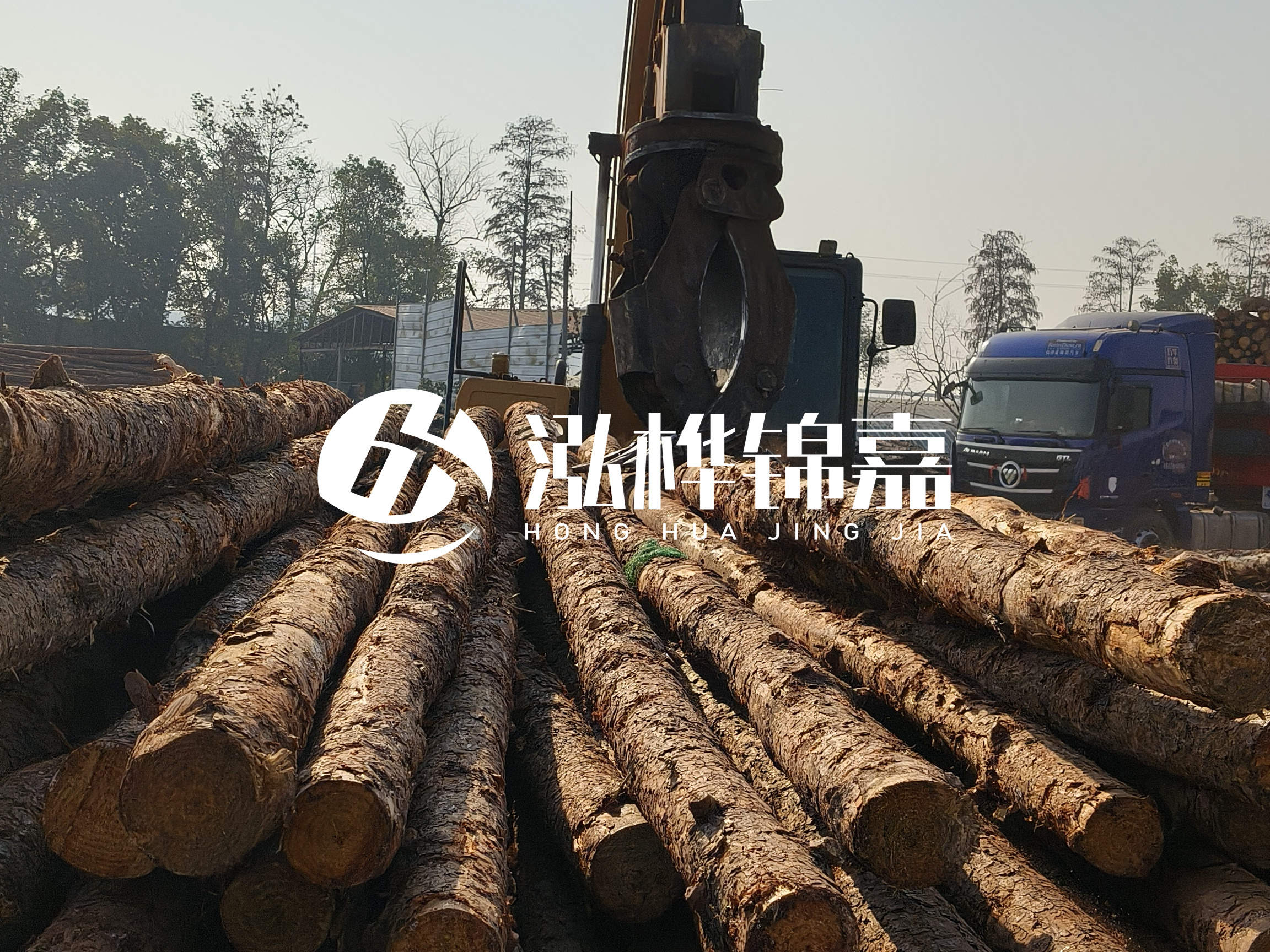 松木樁可以用來做什么？常用于哪些工程？