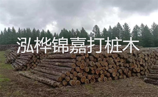 選擇紅磚護(hù)坡，打造獨(dú)特的美麗景觀