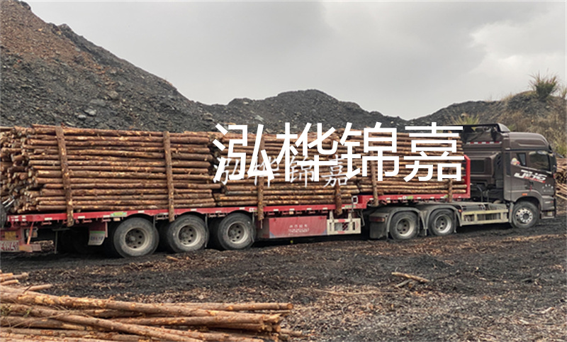 大理松木樁哪里賣？選擇合適的松木樁來(lái)保護(hù)你的建筑