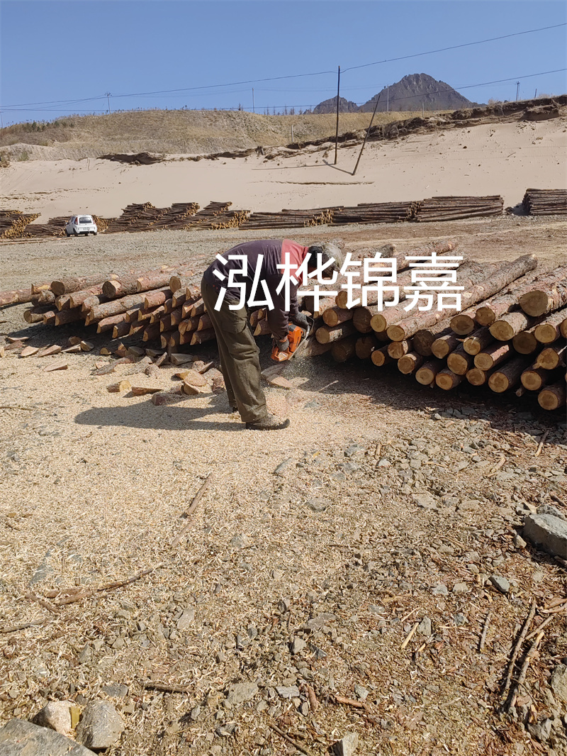松木樁哪里有賣？挑選松木樁要注意什么？
